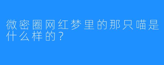 微密圈网红梦里的那只喵是什么样的?