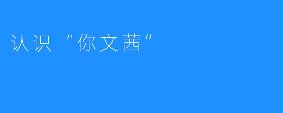 认识“你文茜”