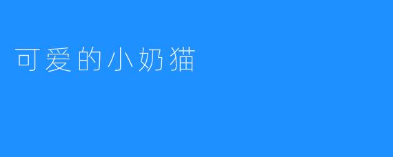 可爱的小奶猫