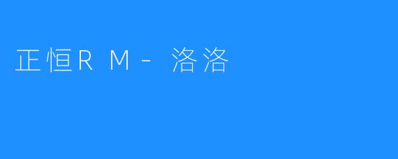 正恒RM-洛洛