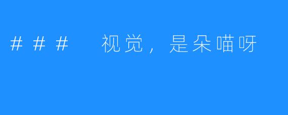 ### 视觉,是朵喵呀