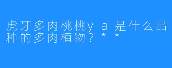 虎牙多肉桃桃ya是什么品种的多肉植物?**