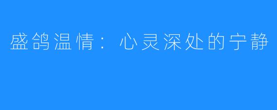 盛鸽温情:心灵深处的宁静
