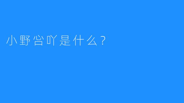 小野吢吖是什么?