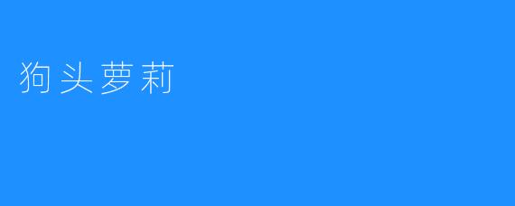 狗头萝莉