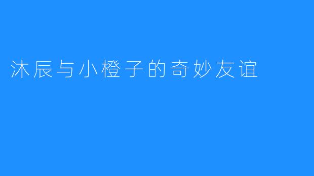 沐辰与小橙子的奇妙友谊