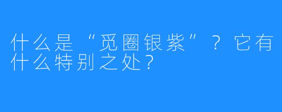 什么是“觅圈银紫”?它有什么特别之处?