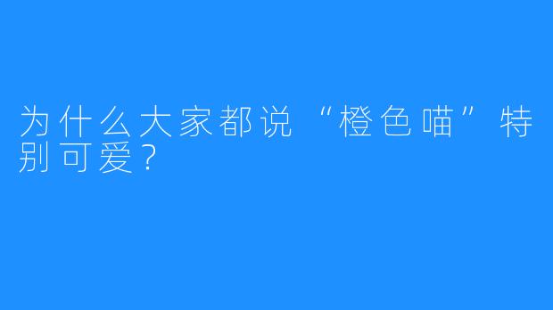 为什么大家都说“橙色喵”特别可爱？