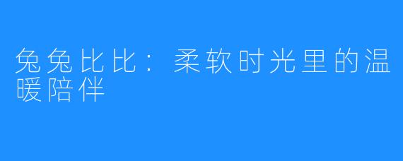 兔兔比比:柔软时光里的温暖陪伴