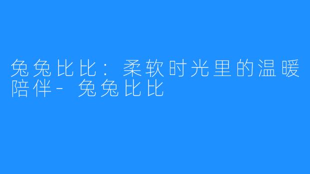 兔兔比比:柔软时光里的温暖陪伴-兔兔比比