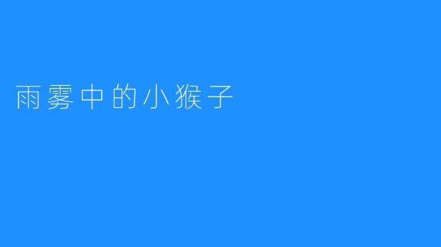 雨雾中的小猴子