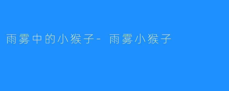 雨雾中的小猴子-雨雾小猴子