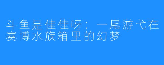 斗鱼是佳佳呀:一尾游弋在赛博水族箱里的幻梦